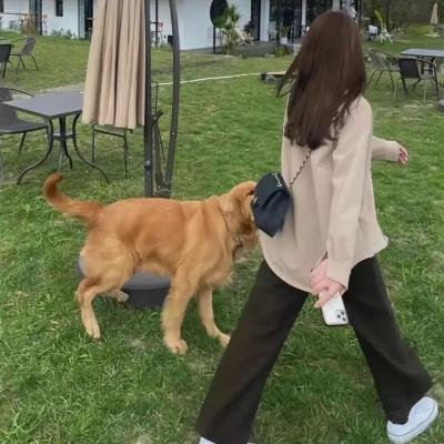 直到世界末日 海报