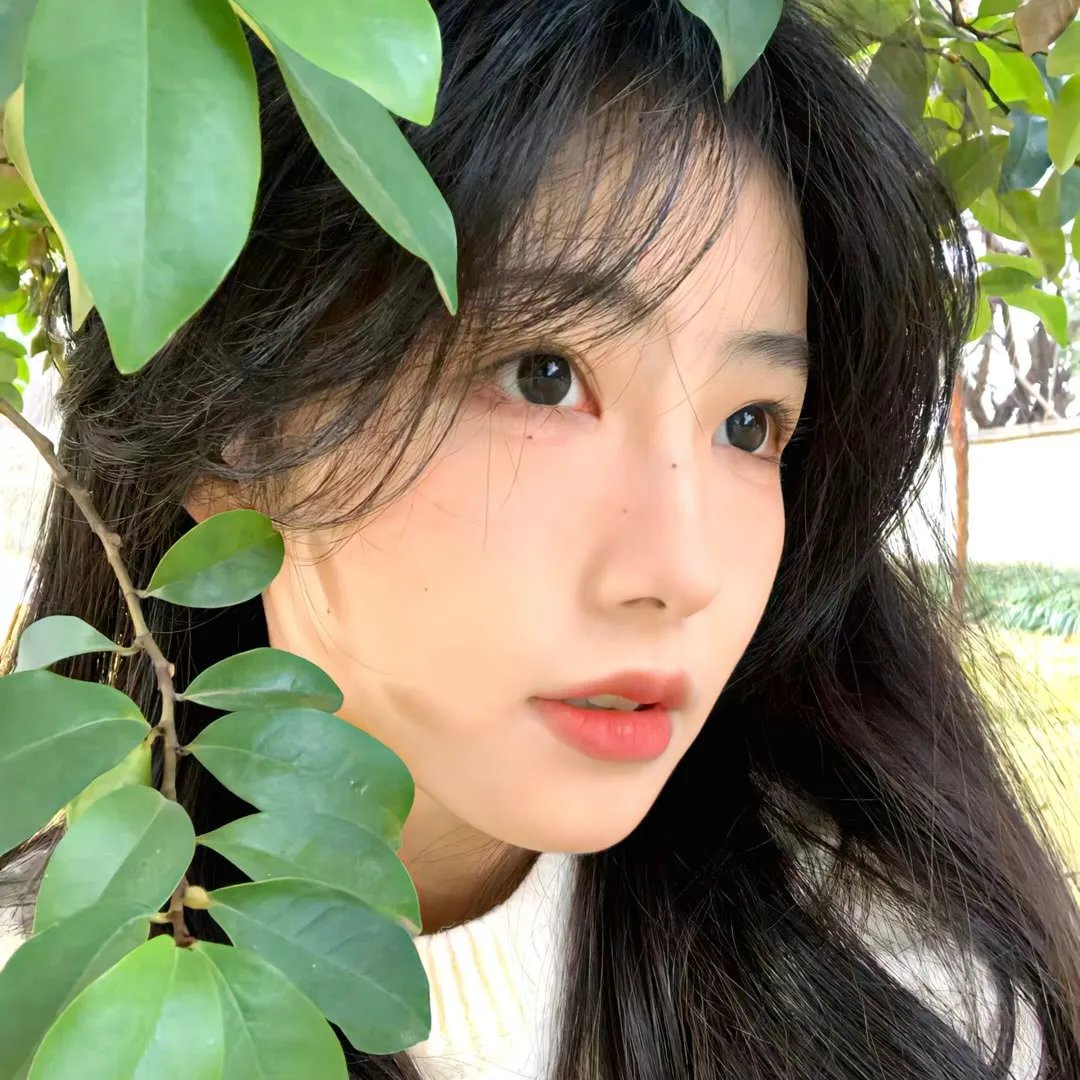 我的朋友们 海报
